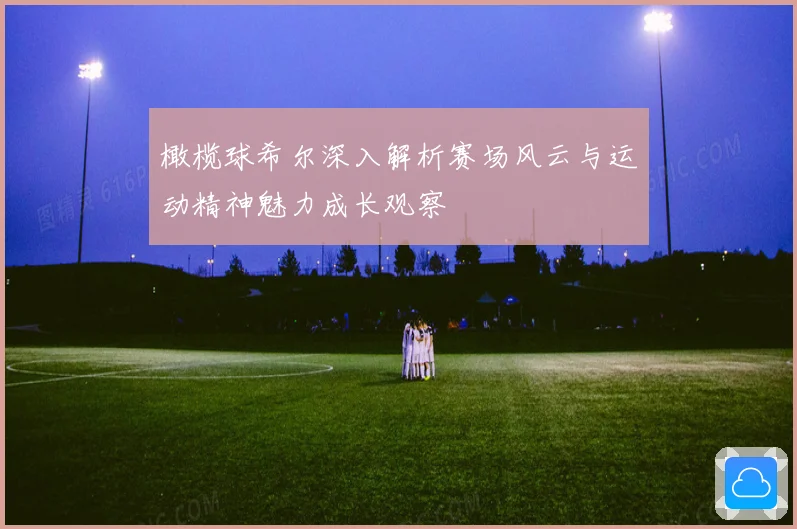 橄榄球希尔深入解析赛场风云与运动精神魅力成长观察
