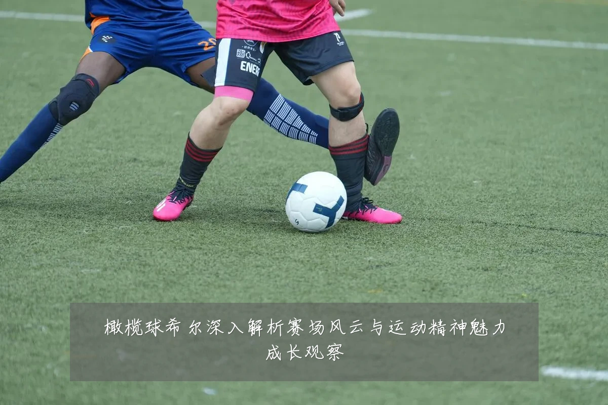 橄榄球希尔深入解析赛场风云与运动精神魅力成长观察
